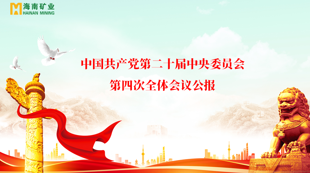 海南礦業黨委學習貫徹黨的二十屆四中全會精神